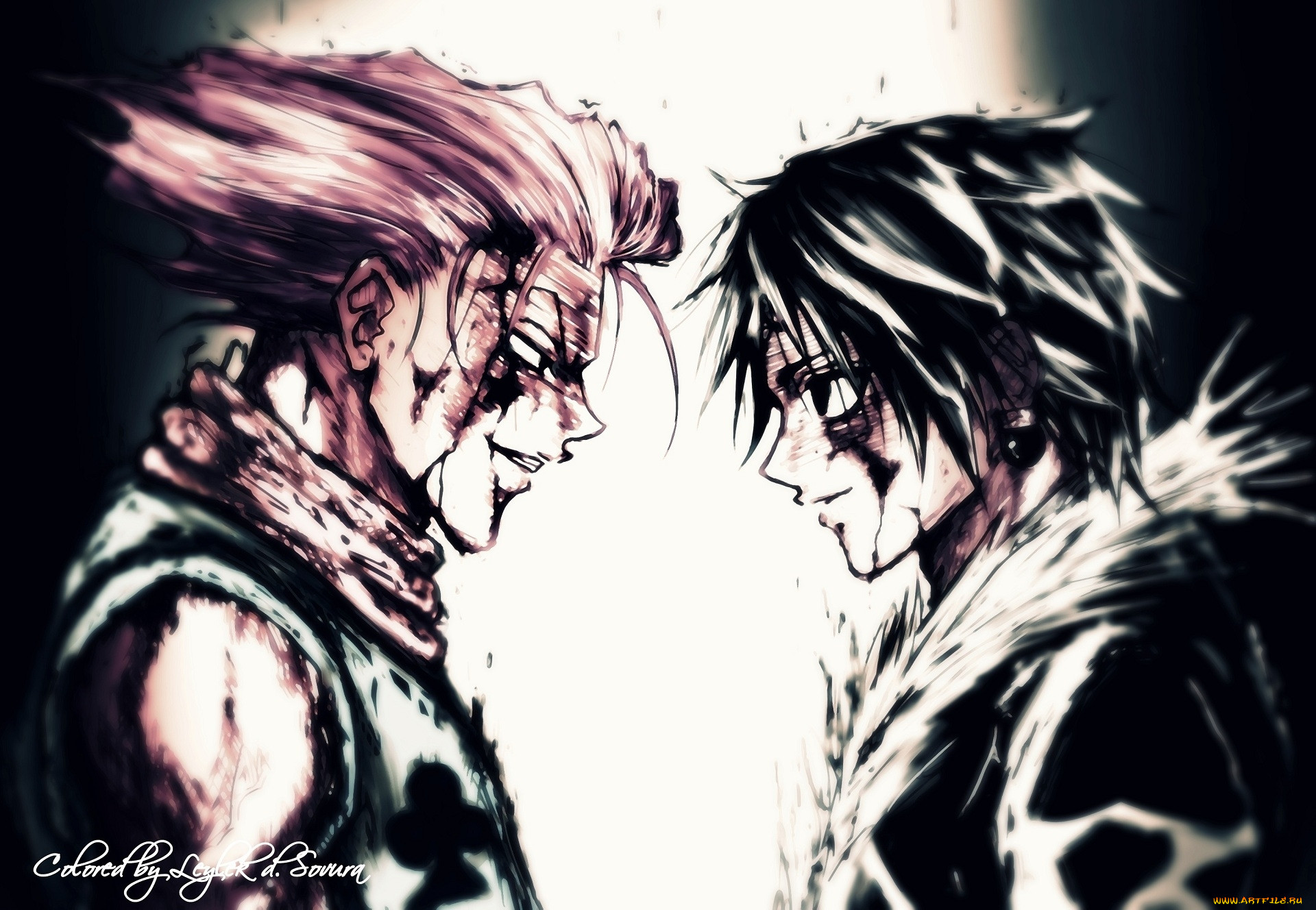 , hunter x hunter, , 